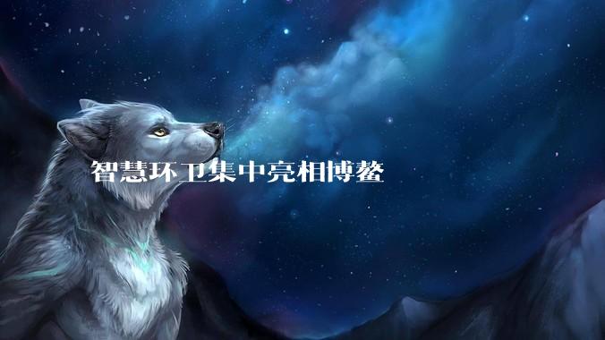 智慧环卫集中亮相博鳌