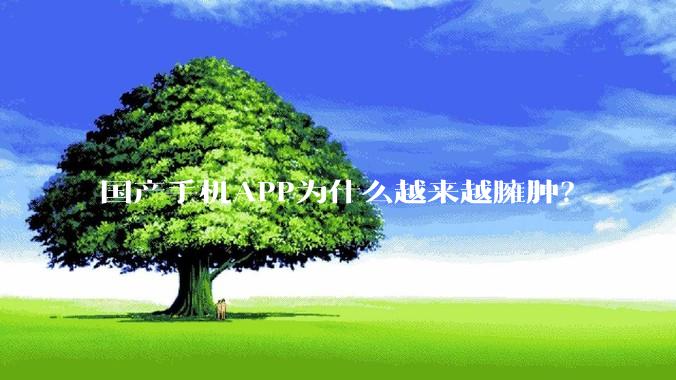 国产手机APP为什么越来越臃肿？