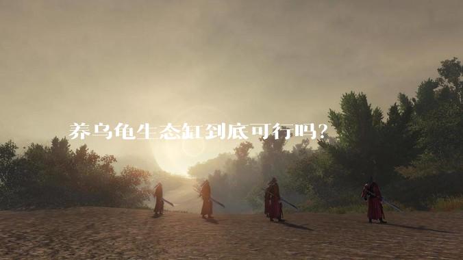 养乌龟生态缸到底可行吗？