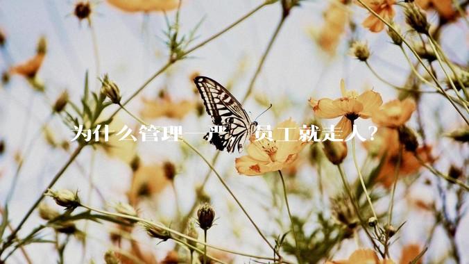 为什么管理一严，员工就走人？